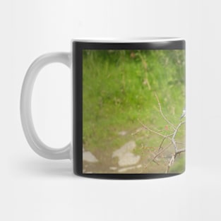 Hungry Eyes Mug